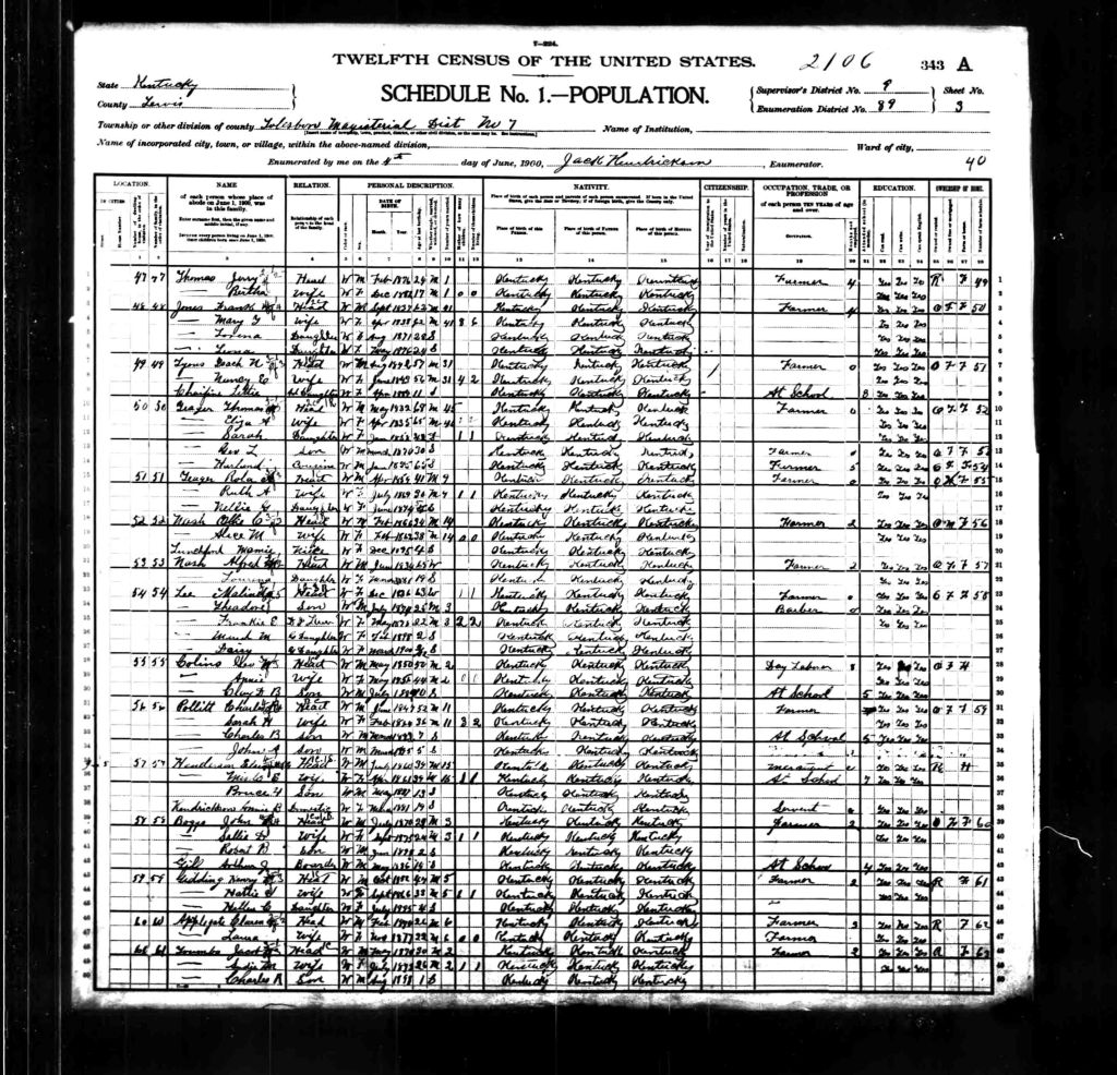 census image