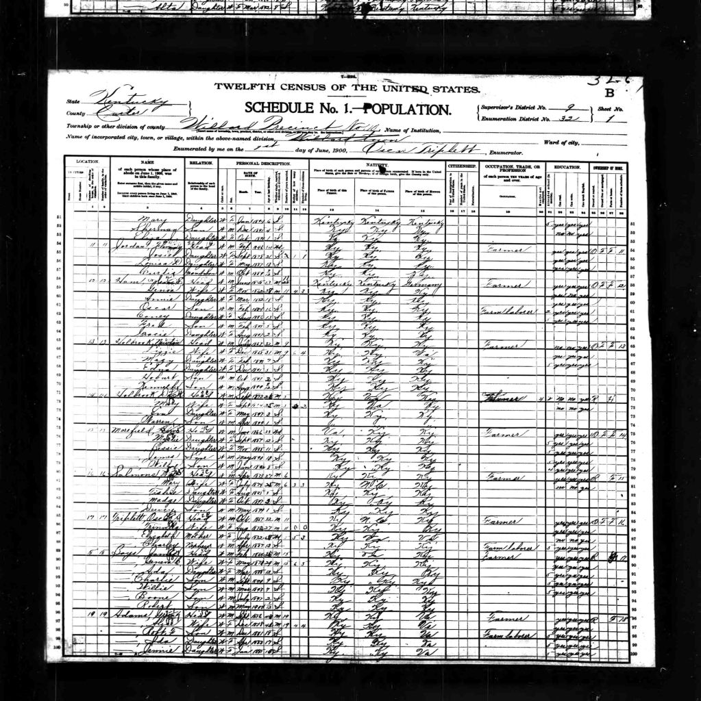 census image