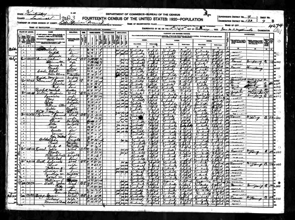 census image