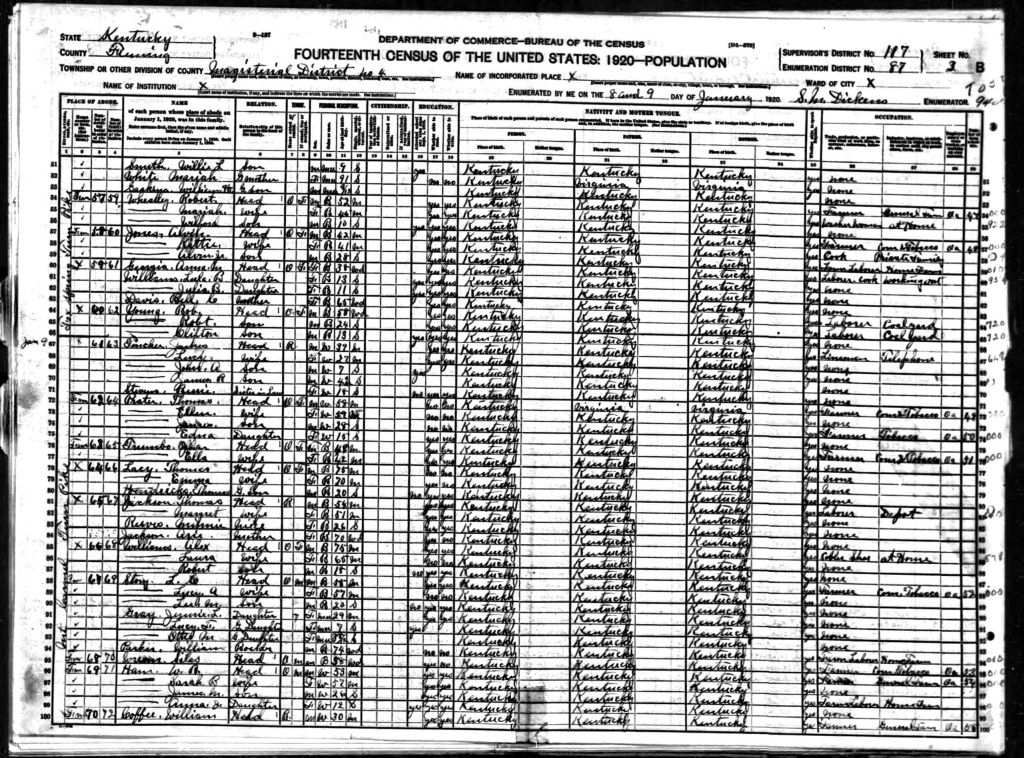 census image