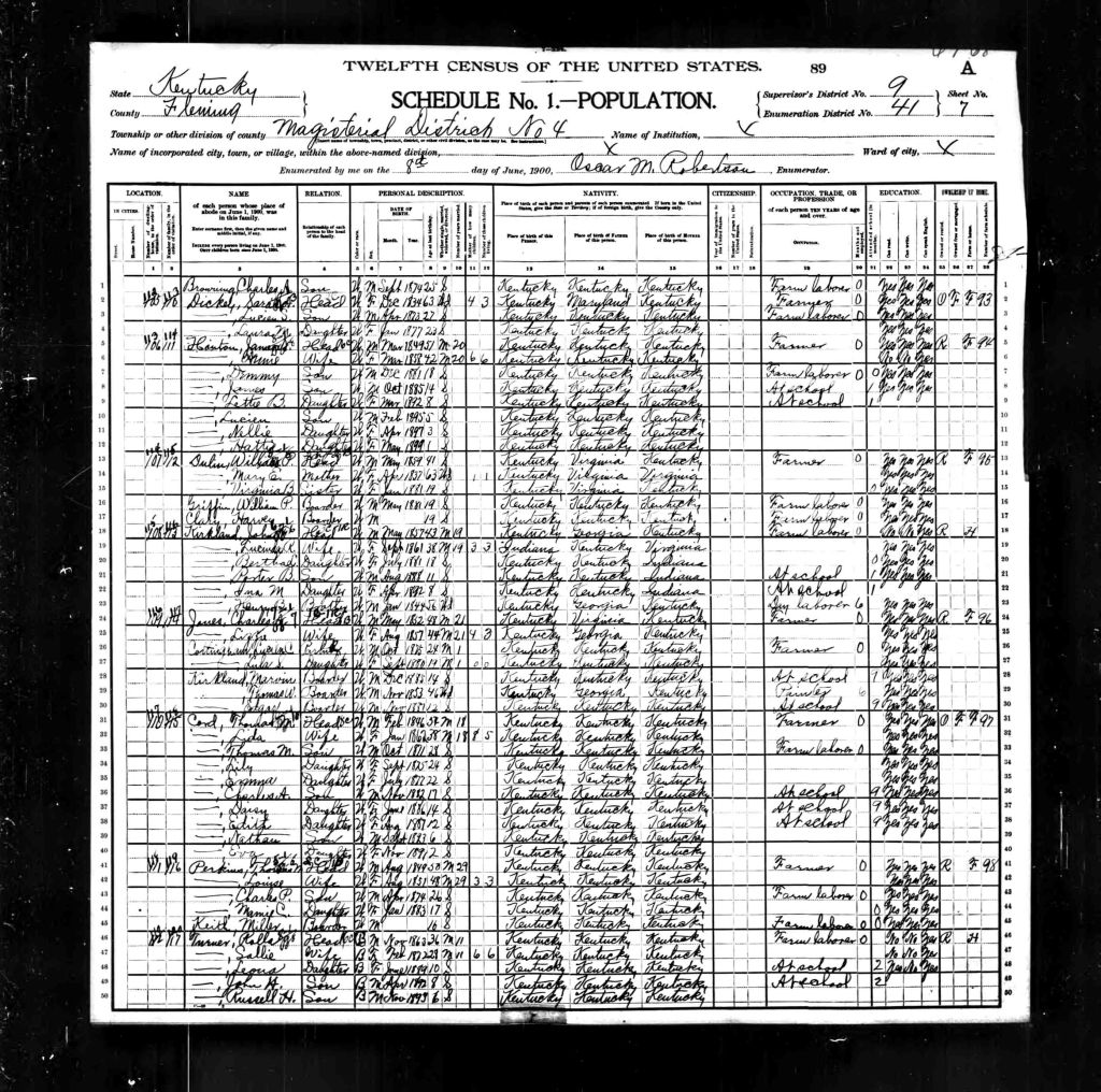 census image