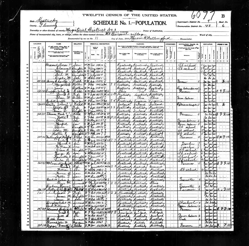 census image