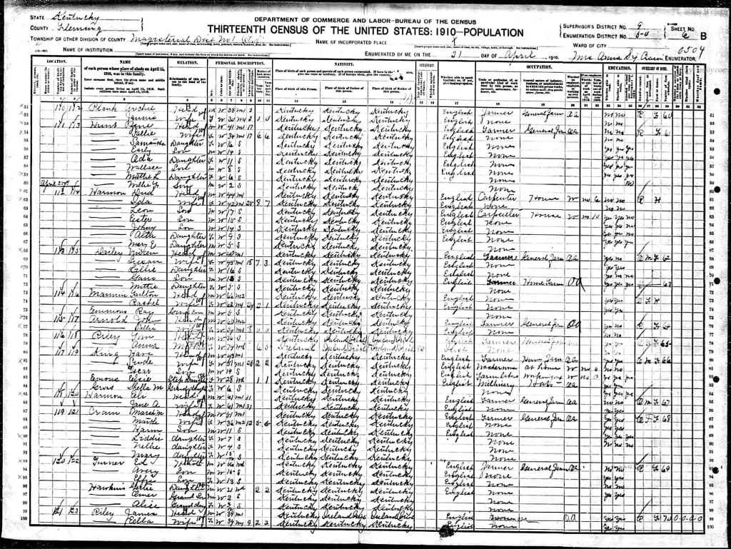 census image
