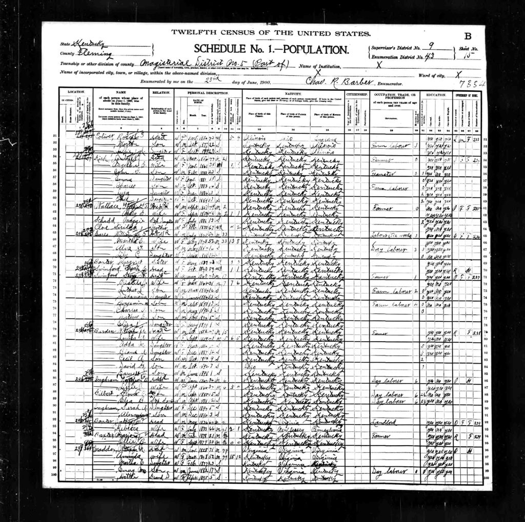 census image