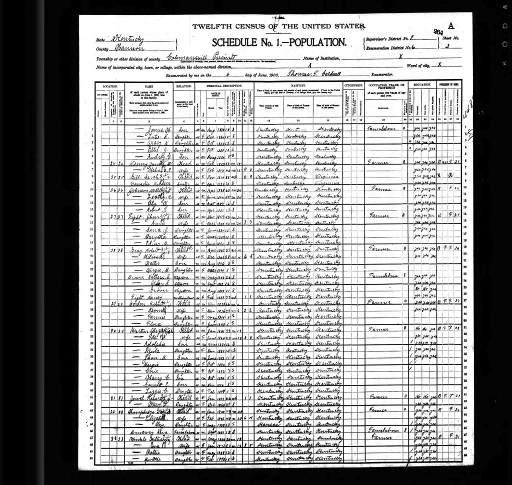 census image