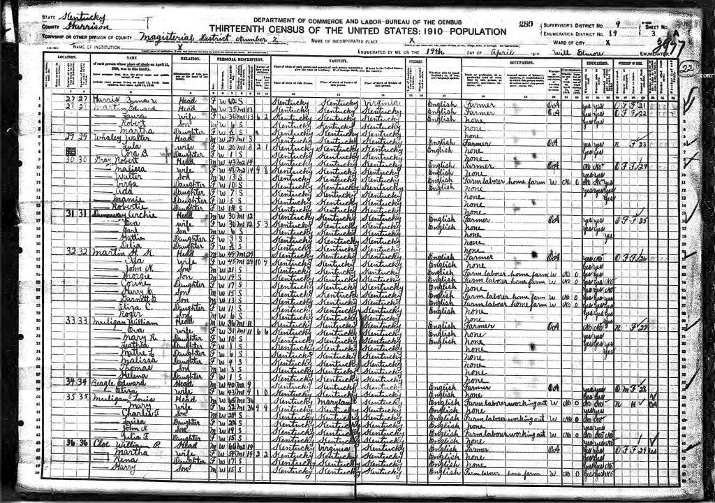 census image