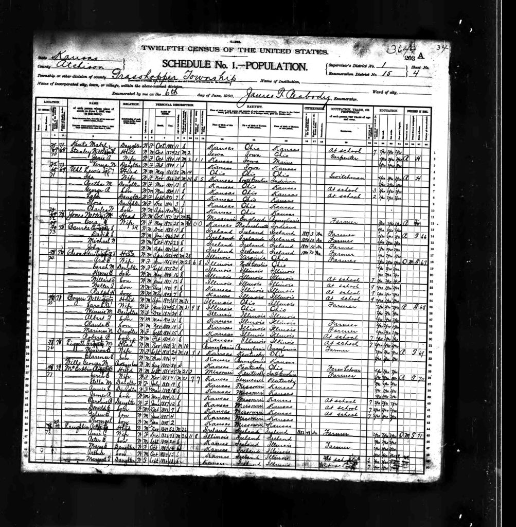 census image