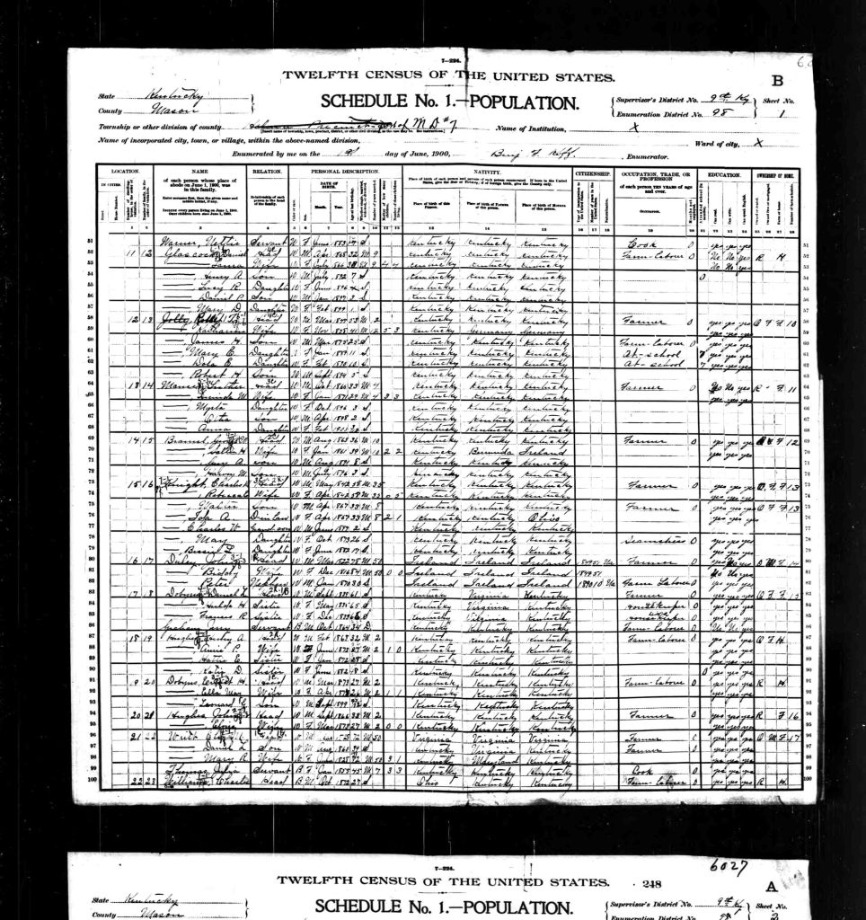 census image