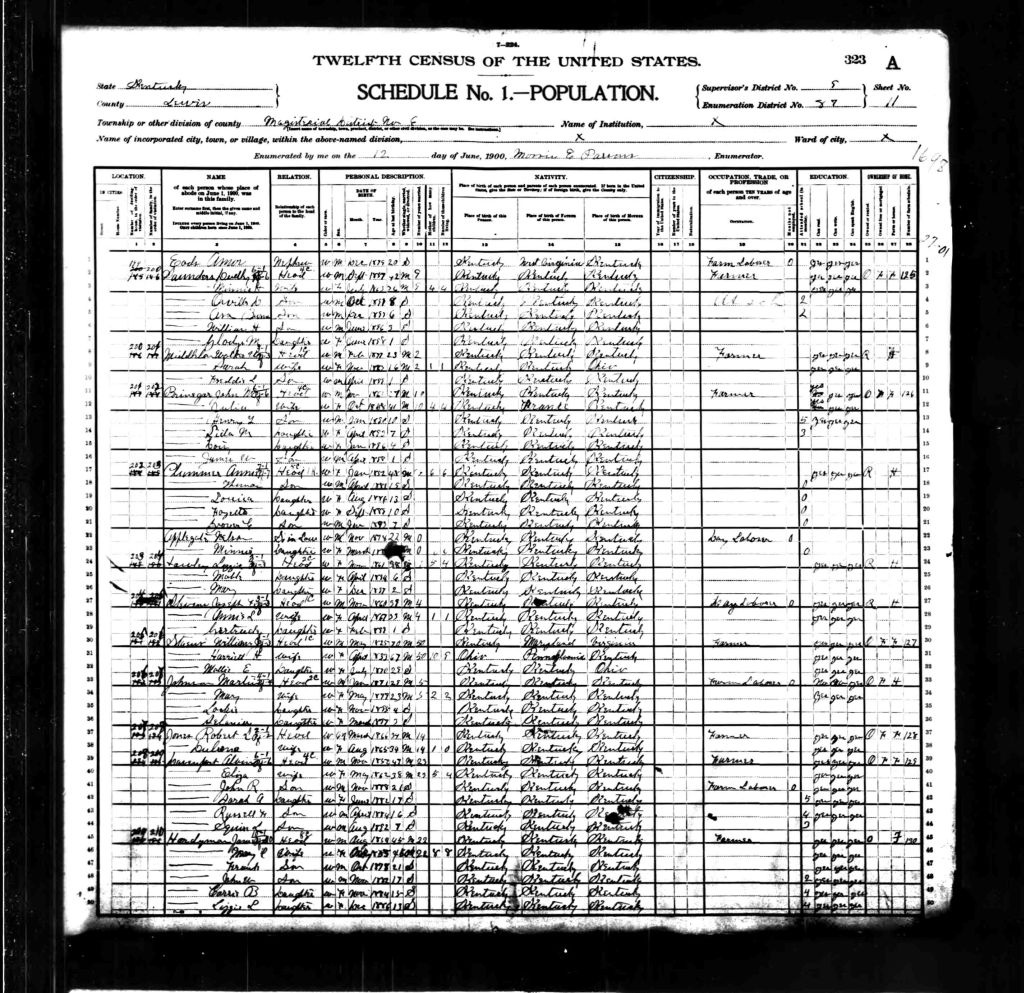 census image