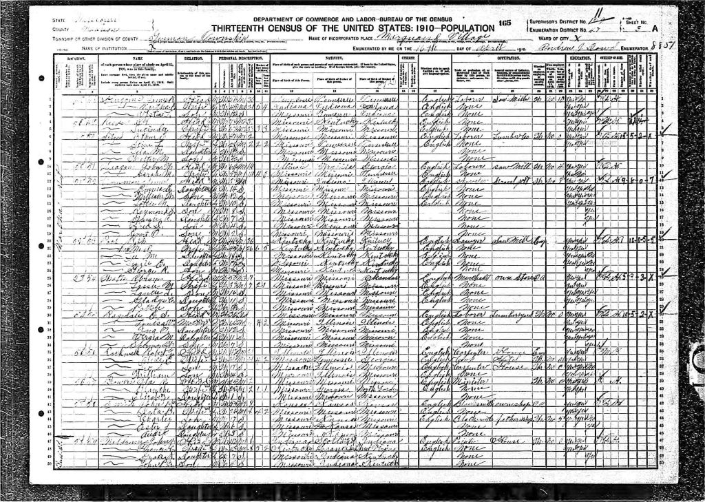 census image