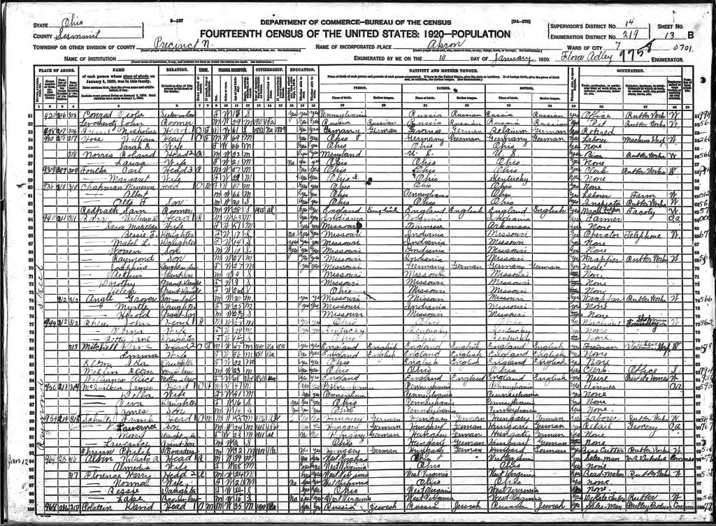 census image