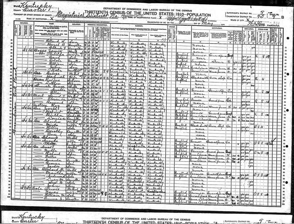 census image