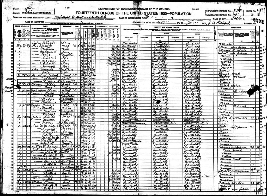 census image