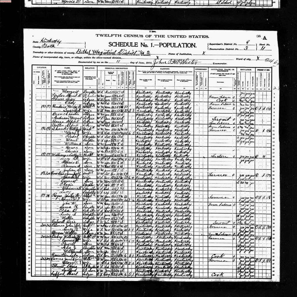 census image