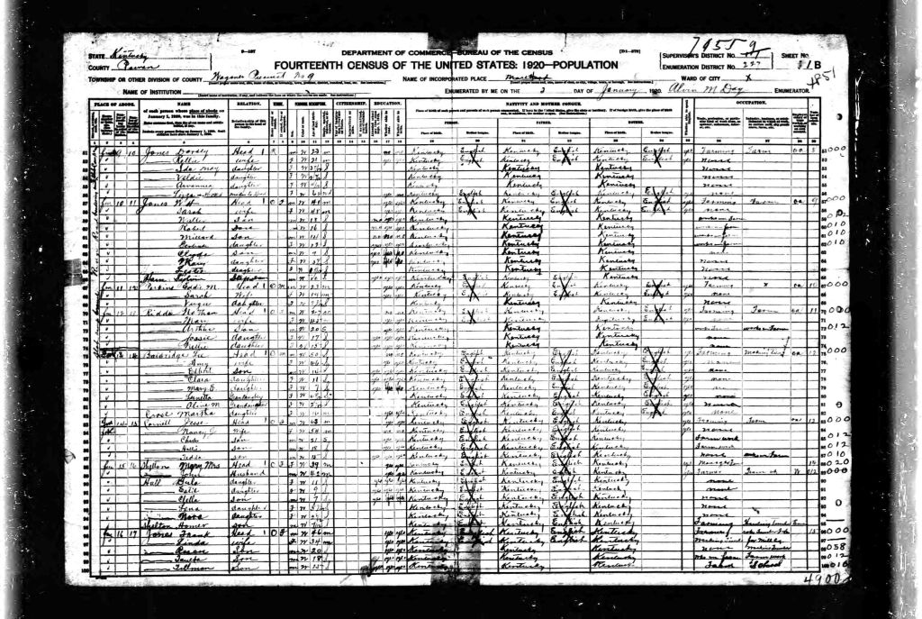 census image