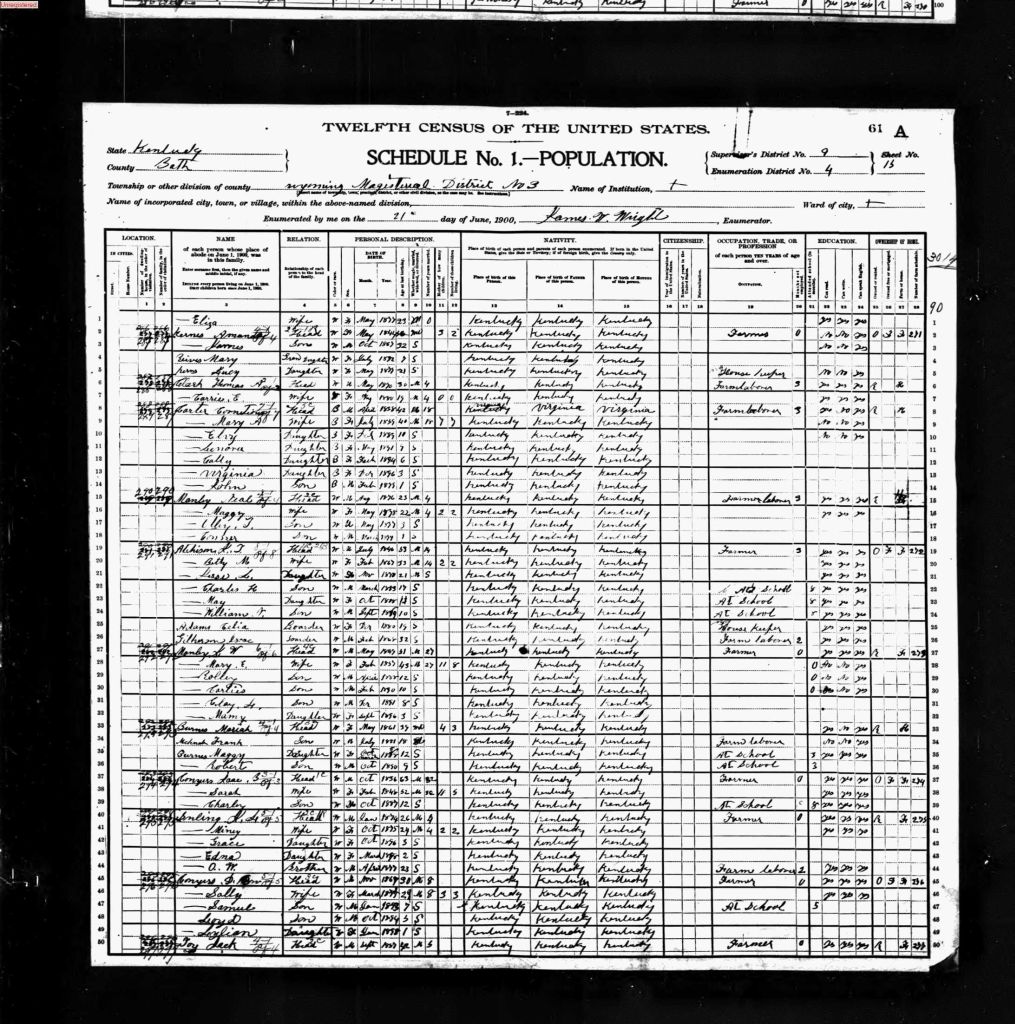 census image