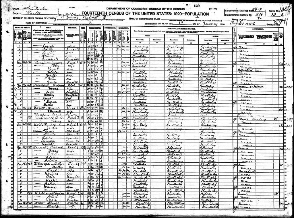 census image