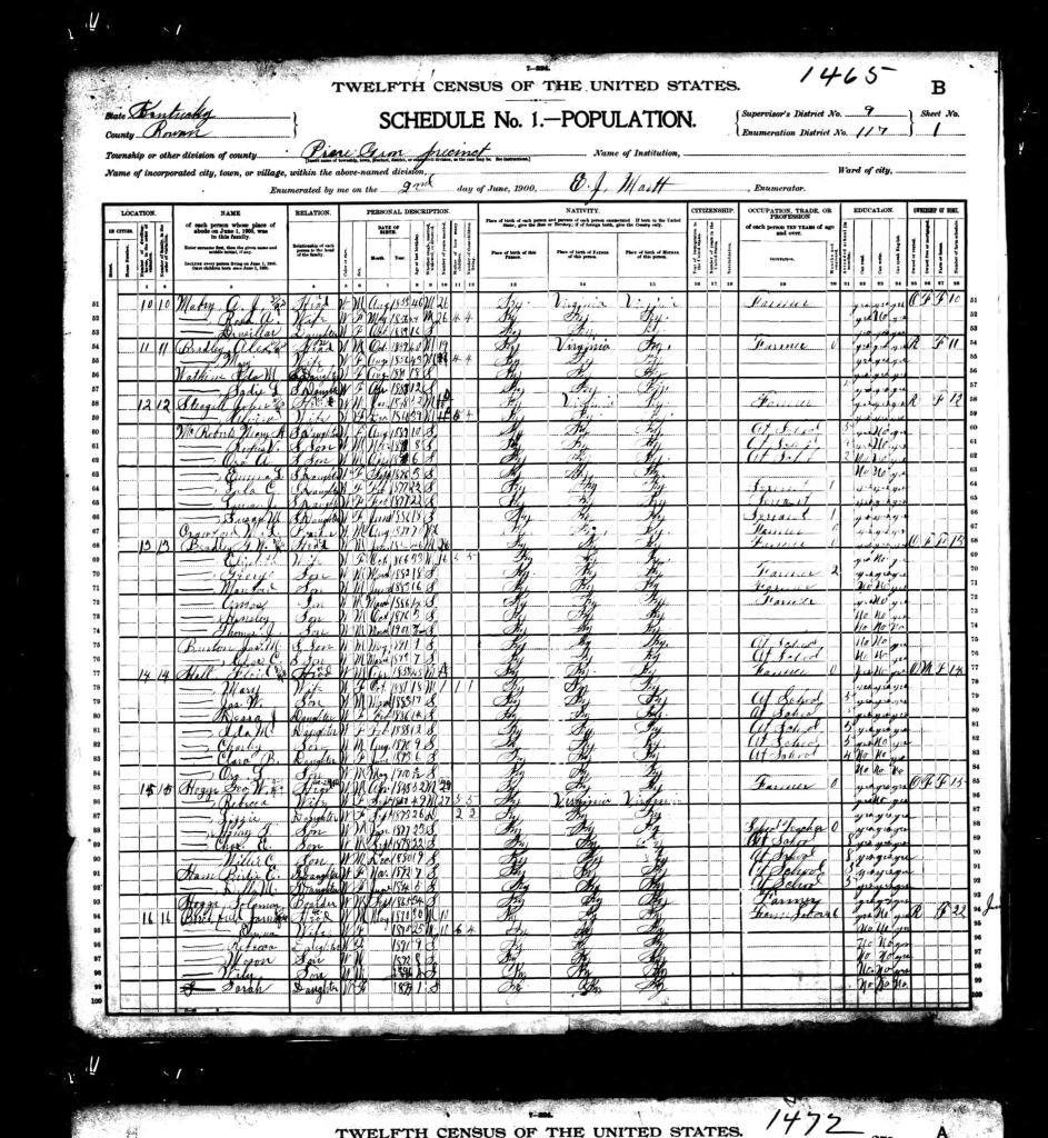 census image
