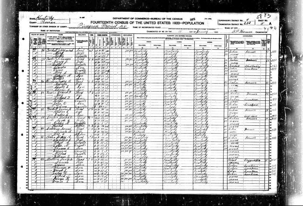 census image
