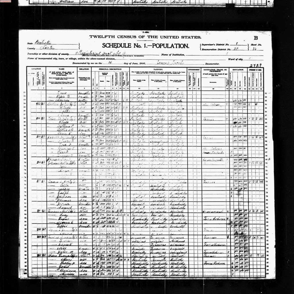 census image