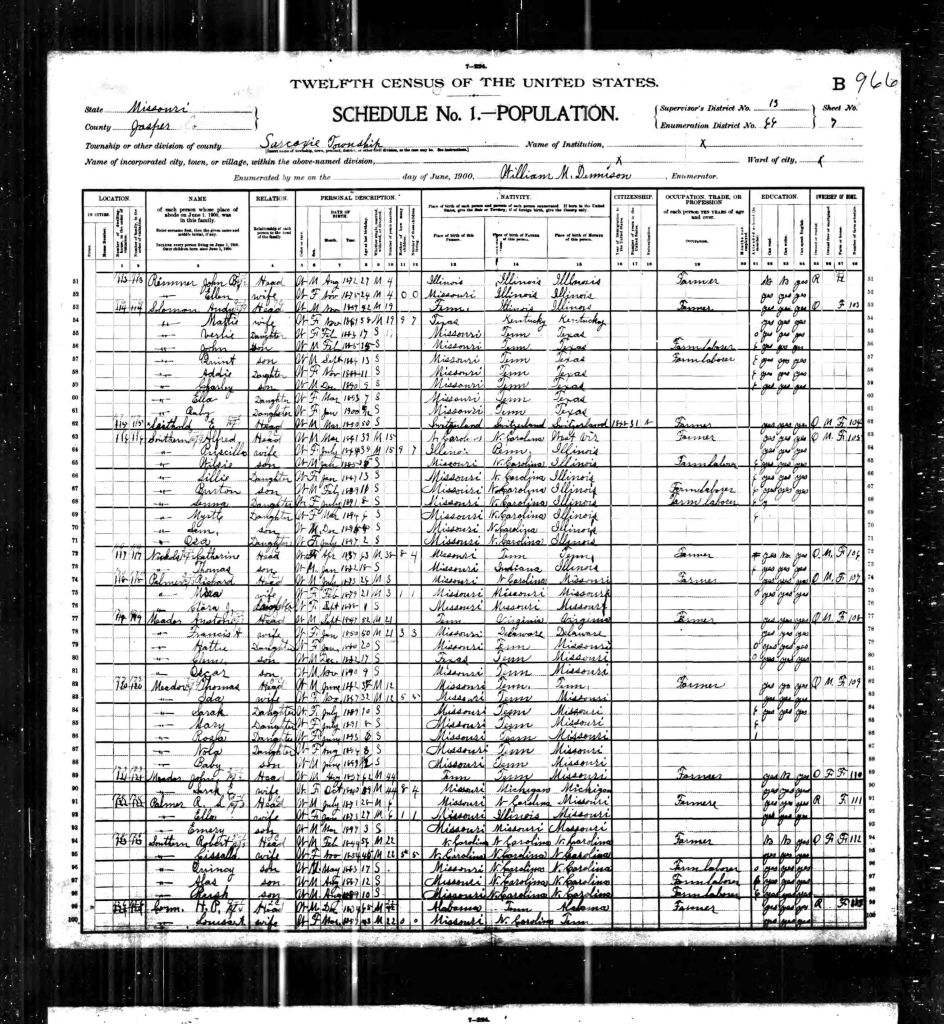 census image