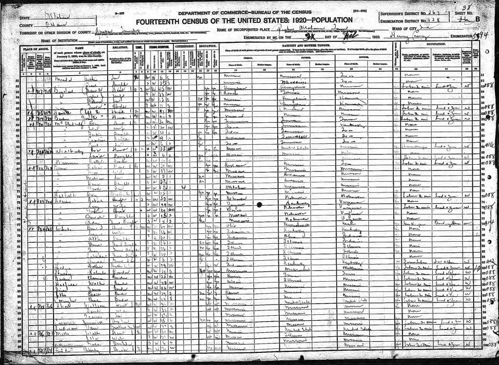 census image