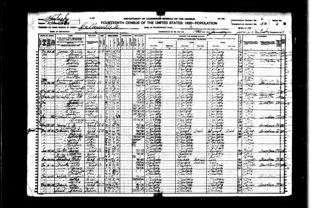 census image