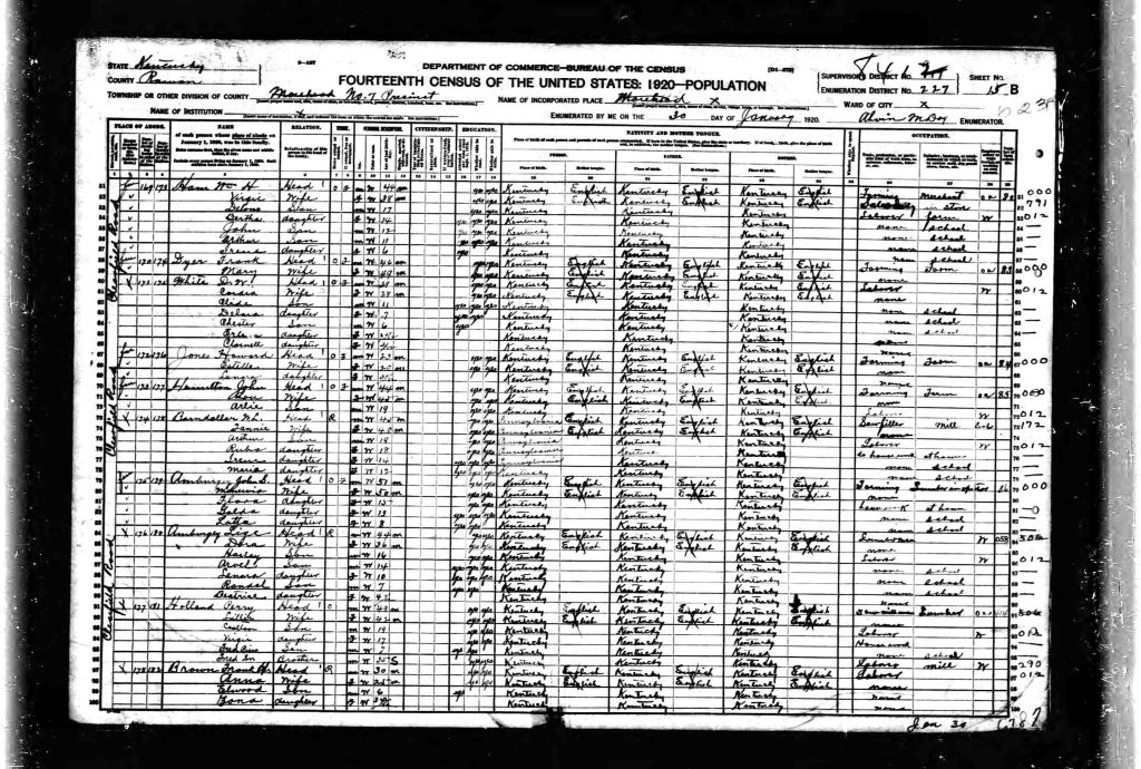 census image