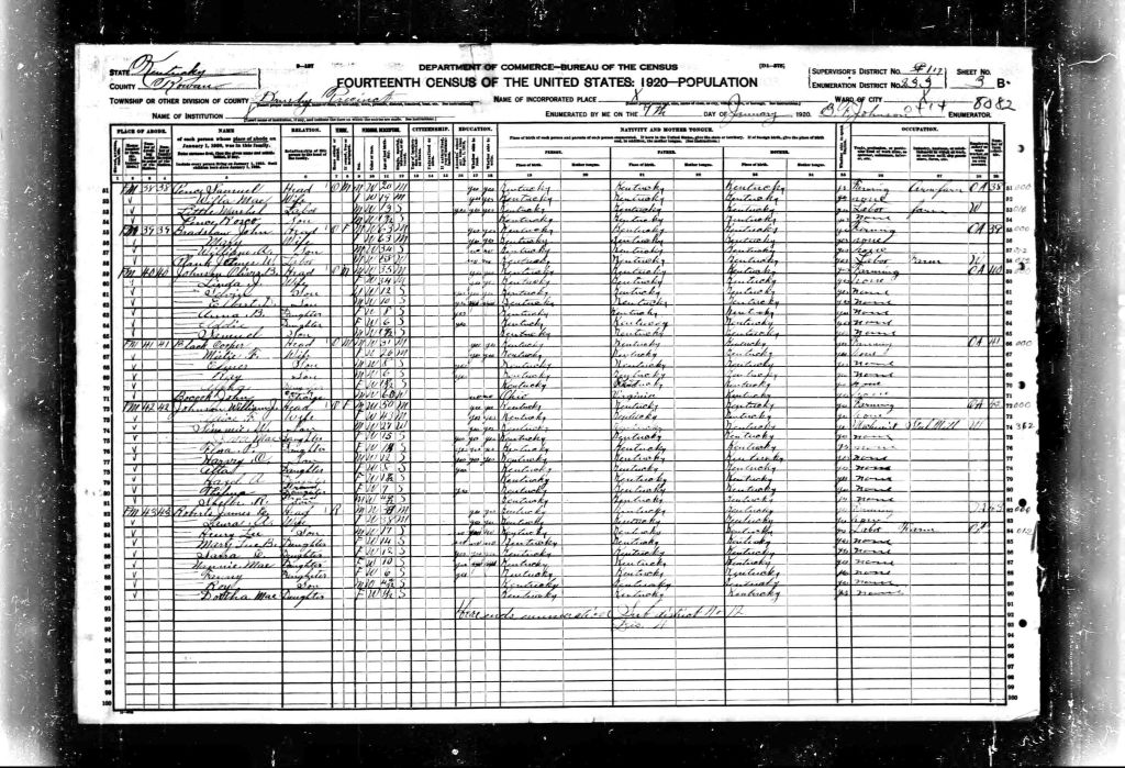 census image