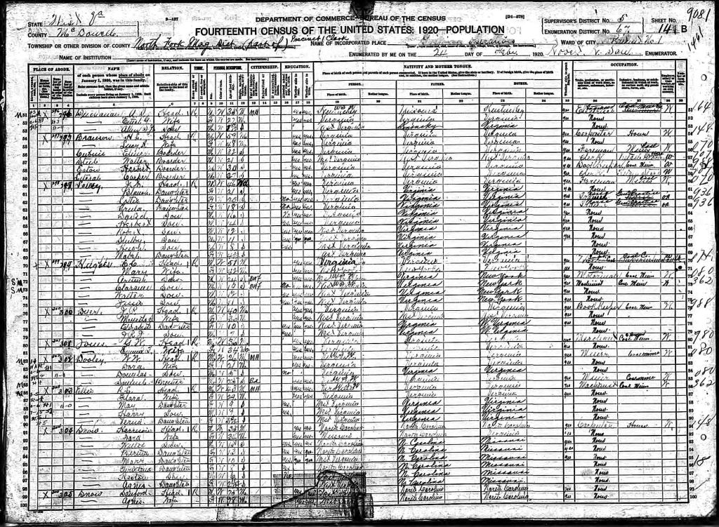 census image