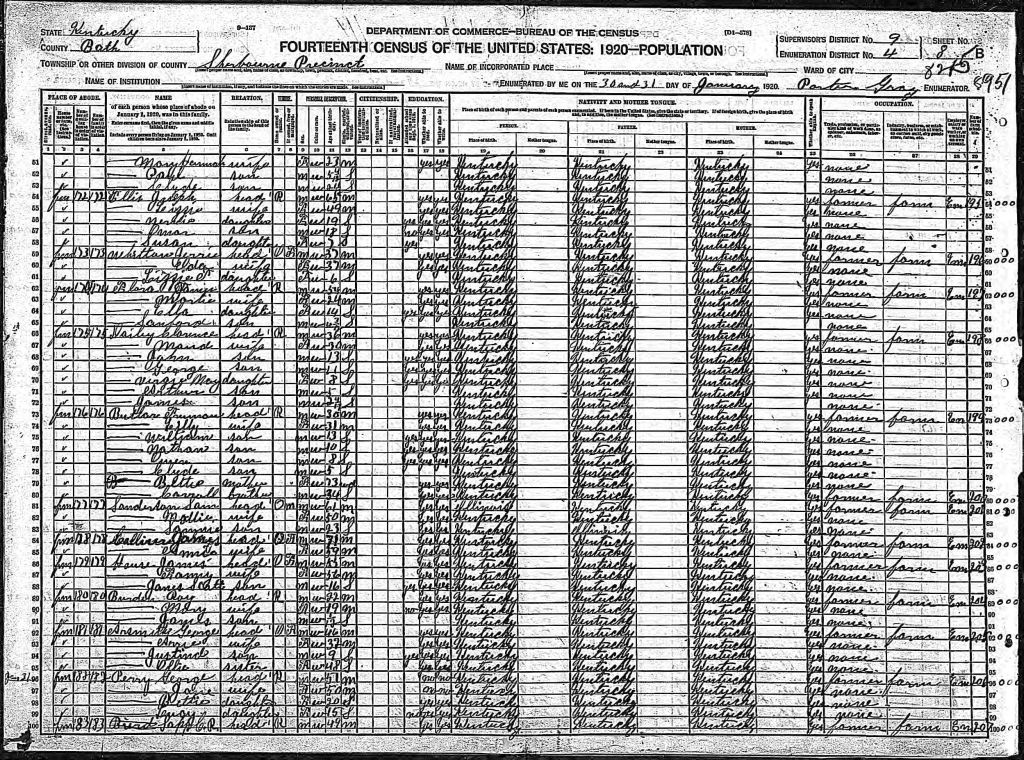 census image