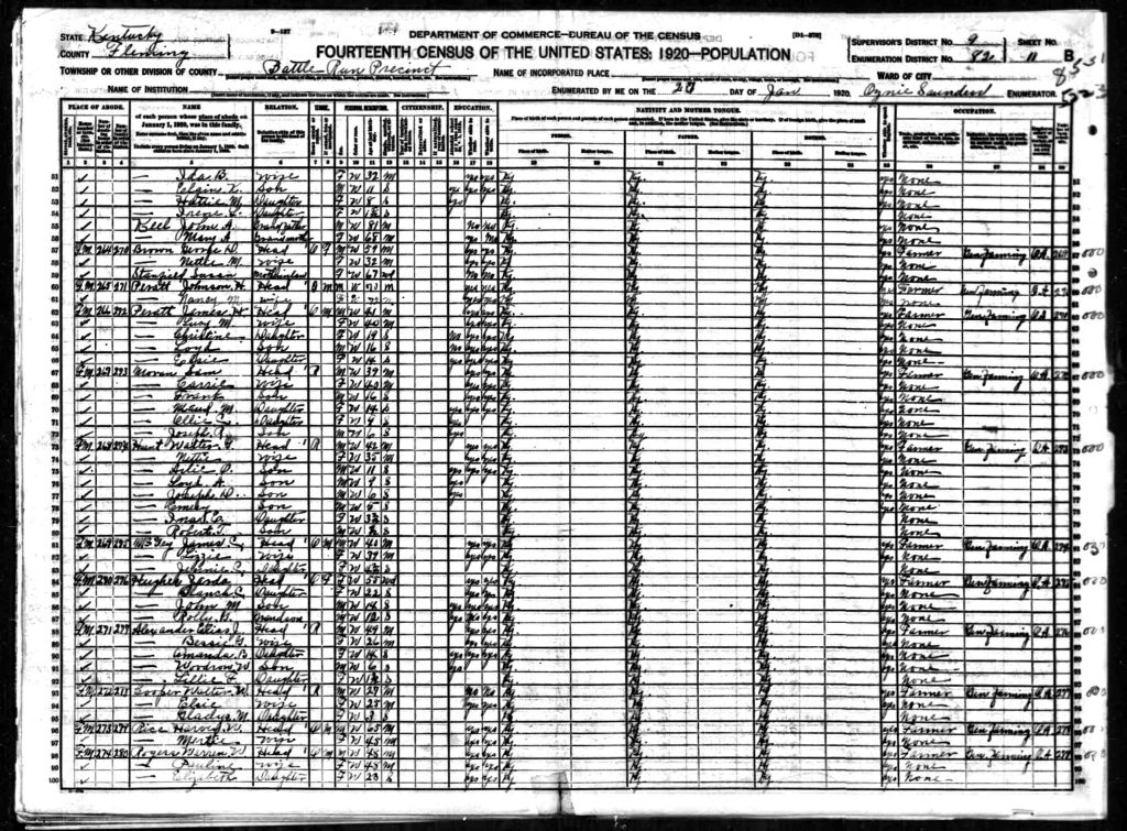 census image