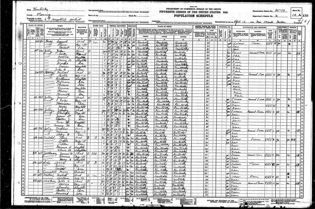 census image