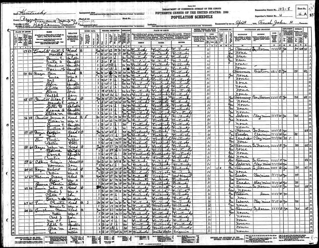 census image