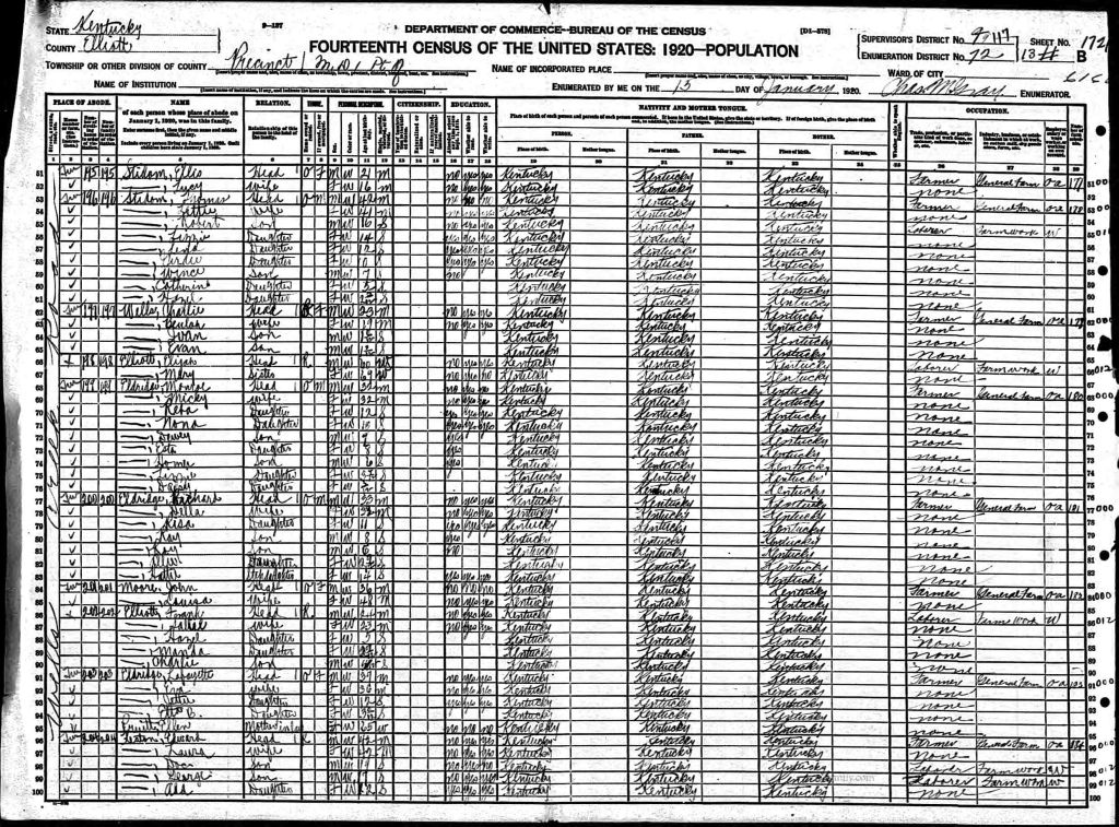 census image
