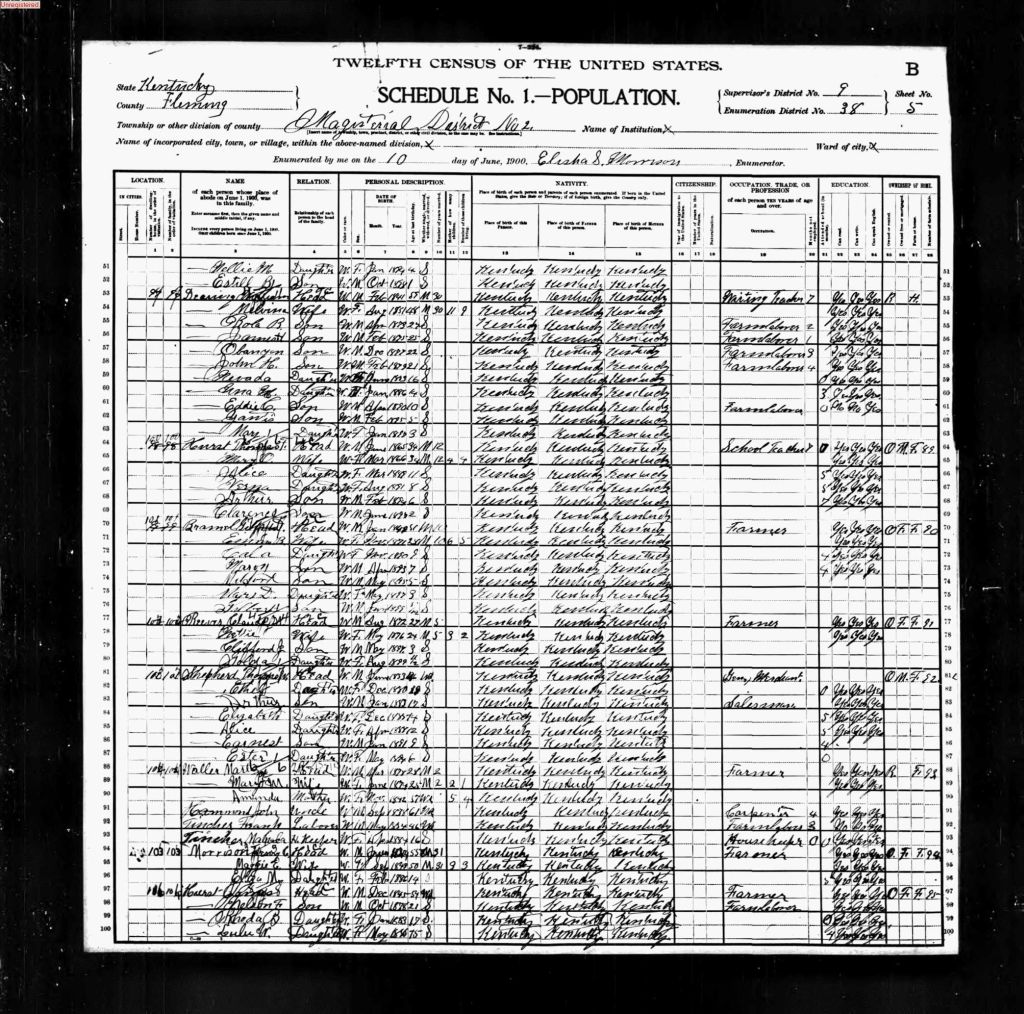 census image