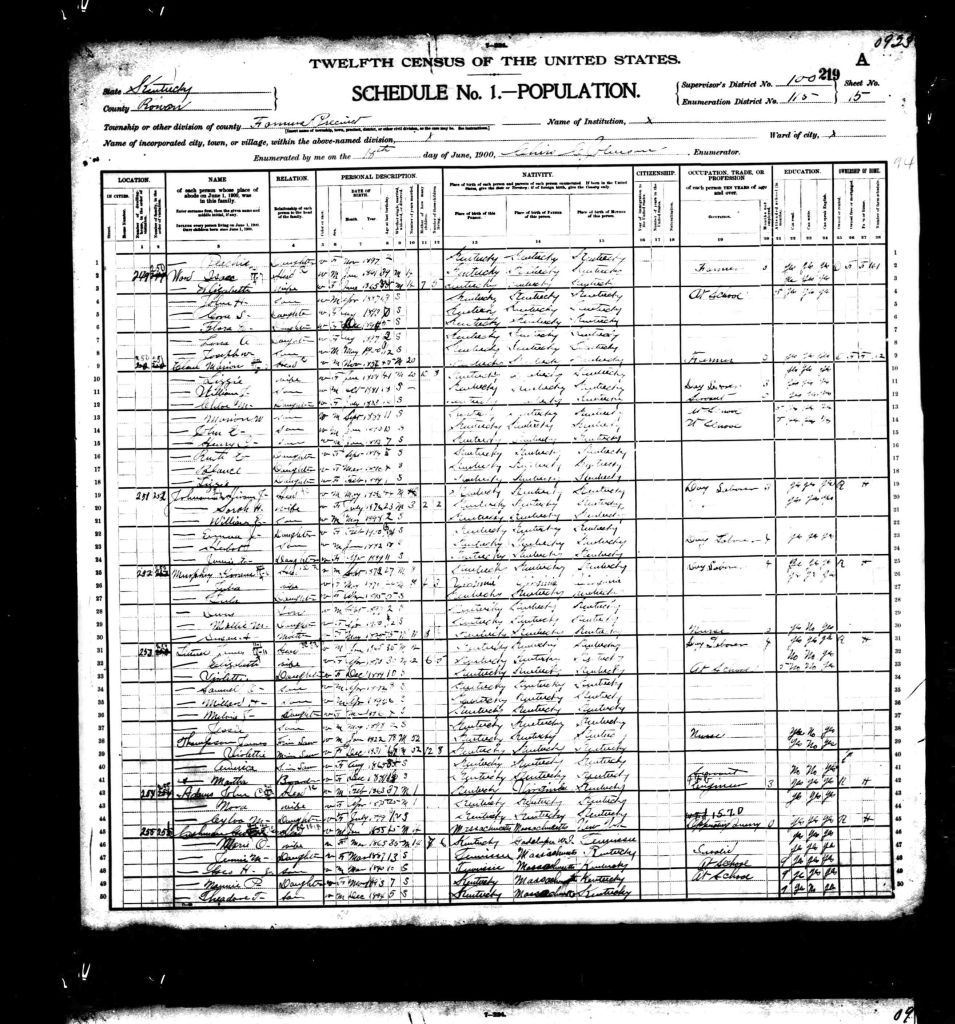 census image