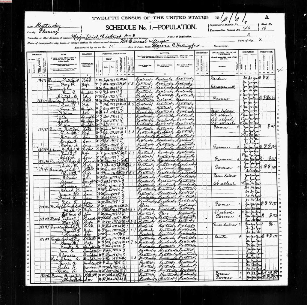 census image