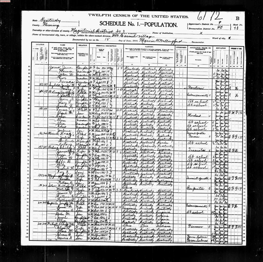 census image