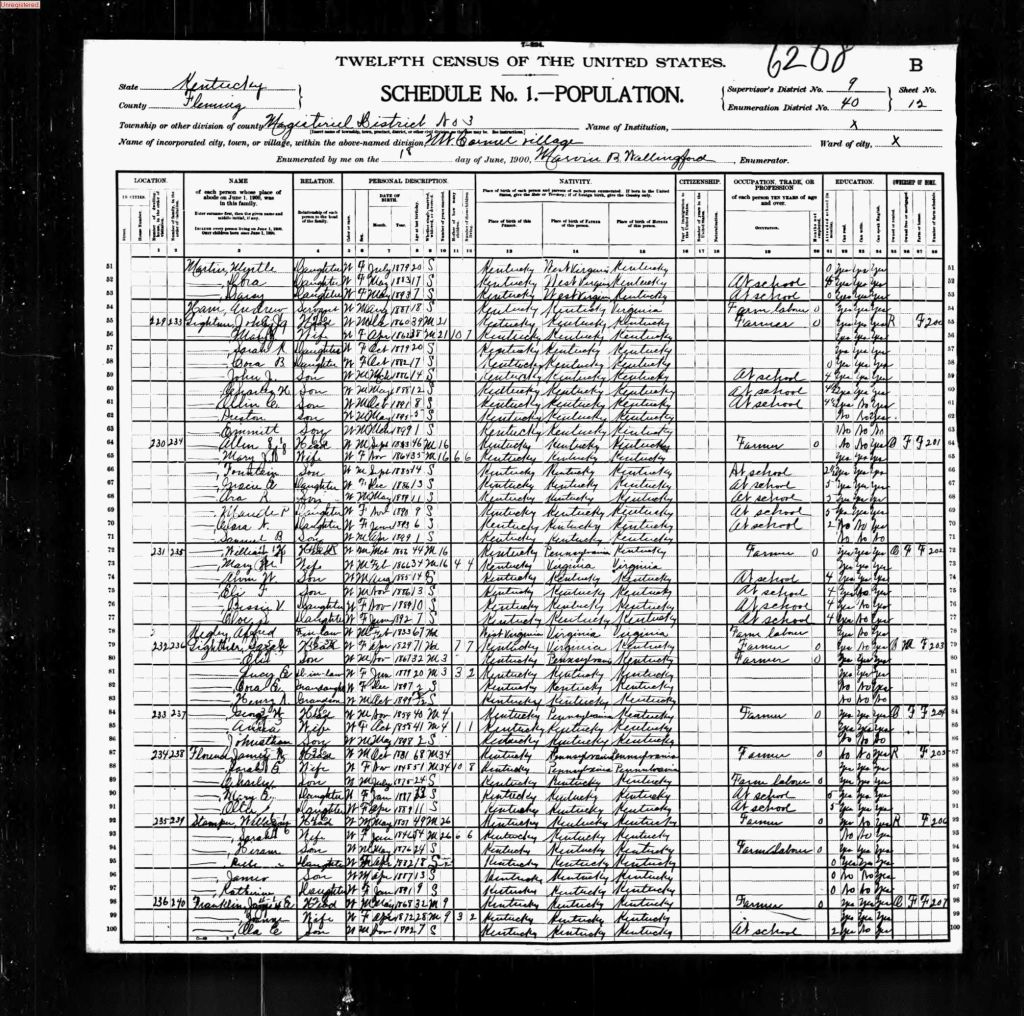 census image