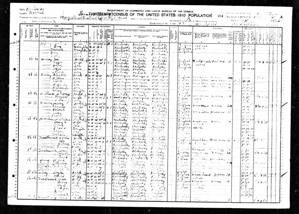 census image