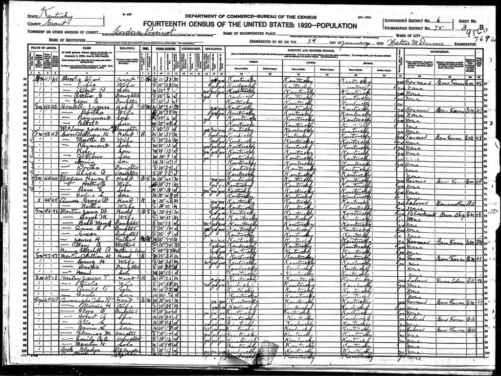 census image