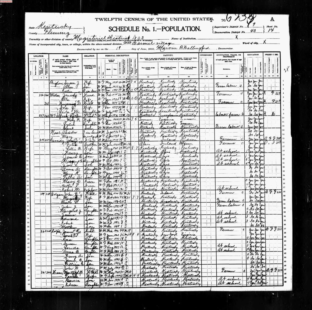 census image