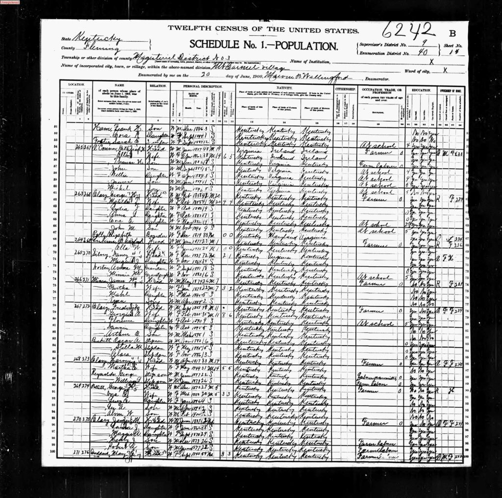 census image