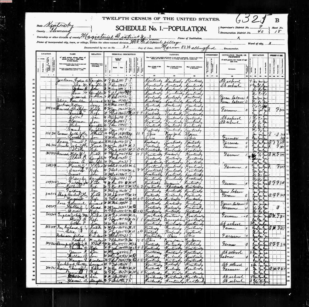 census image