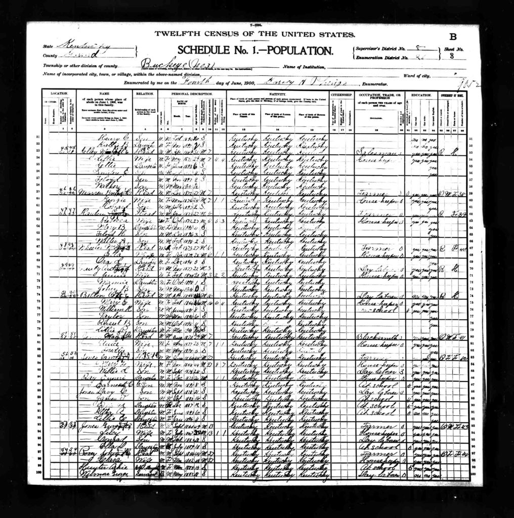 census image