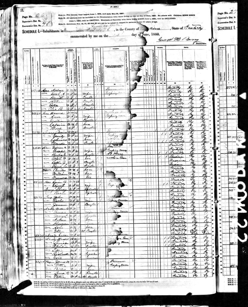 census image