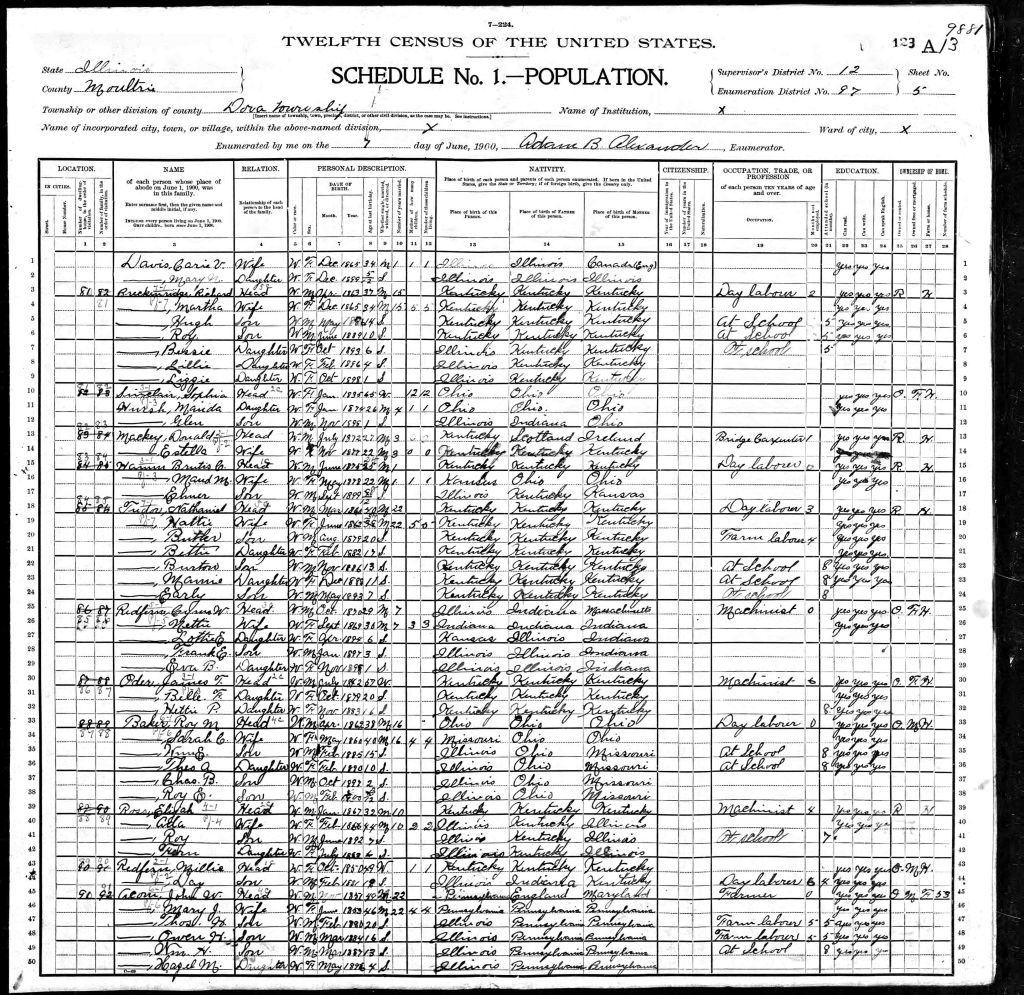 census image