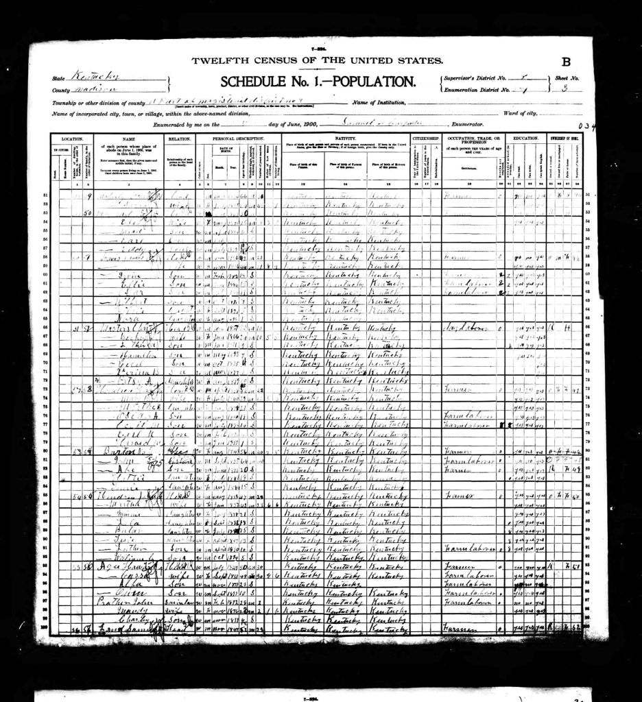 census image