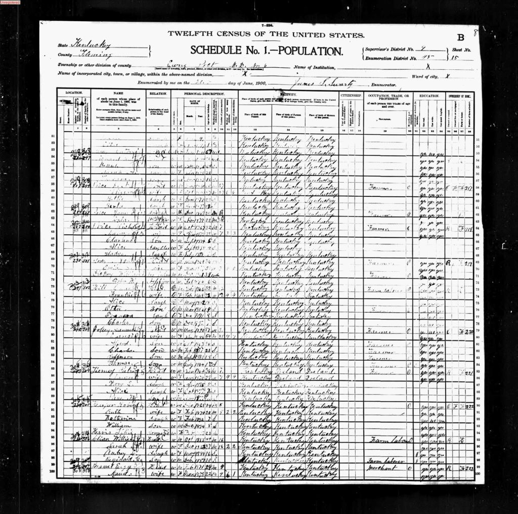 census image